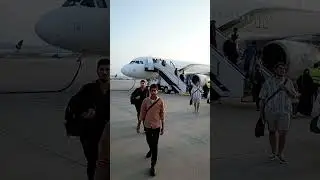 PIA Flights in Islamabad International Airport Pakistan