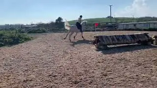 Zero&rsquo;s first time jumping some xc jump and he is more like a kangaroo