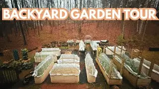 Garden Tour & Harvest | NEW Update - Winter Garden (Week 3) January 2026