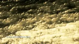 Video Background 2015 - Animated Backgrounds - Video Loops