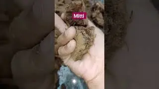 #reuse #soil #nature #comewithnature #plants #gardening #mitti #reuseold