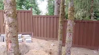 trex fence/ yard