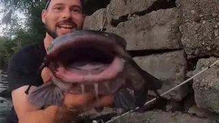 Overnight Chicago River Fishing || Bottom Fishing for Big Catfish and Carp All night Chicago River
