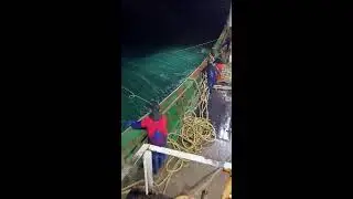 LIVE📹 | Net Fishing in the Pacific Ocean. #shorts #boat #fishing
