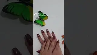 thonj me xhel 💅