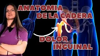 &iquest;POR QUE ME DUELE LA INGLE? | DOLOR INGUINAL Y LA ANATOMIA DE LA CADERA
