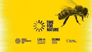 United Nations - World Environment Day 2020