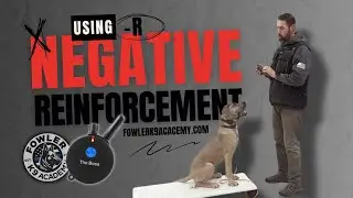 🤔Using Negative Reinforcement⚡️