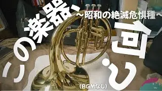 【絶滅危惧種】形はホルン？操作はピストン？昭和のメロフォンを現代で蘇らせてみた(BGMなし)