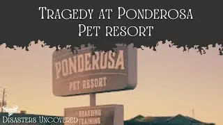 The Ponderosa Pet Resort Fire. A Disasters Uncovered Documentary