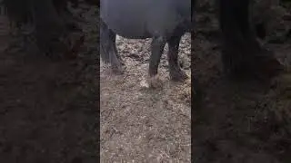 Customer video, MUDCONTROL slabs on clay after 15 months of use
