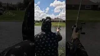 Using the Deeper Pro portable fish finder at my local pond! #bassfishing
