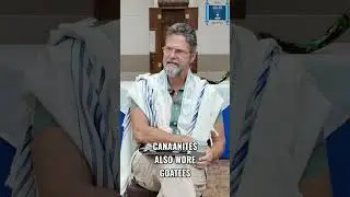 Canaanite Rituals: Ancient Beliefs & Christmas Origins #shorts