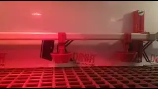 قسم من اعمالي