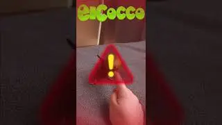 🦜🥊💥 Watch as our feathered hero fights to reclaim his $ElCocco coins! 💥🥊🦜  #financialfreedom