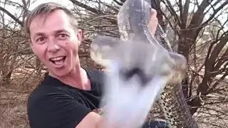 BIG SNAKE BITES! Epic SNAKES Playlists Link Clip 🐍🐊🦎