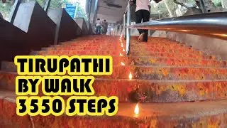 TIRUPATHI TO TIRUMALA BY WALK ALONE  |  3550 steps  | tirumala temple | English vlog | BTDT