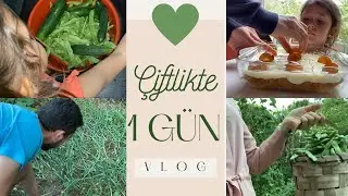 BAH&Ccedil;EDEN &Uuml;R&Uuml;NLERİ TOPLADIK 🫘 BOYA İŞLERİ 🎨 #doğal #vlog