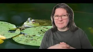 Juniori-ohjelman viittomakielinen satutuokio: Sammakko pysyy sammakkona