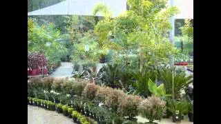 The Best Garden Centre