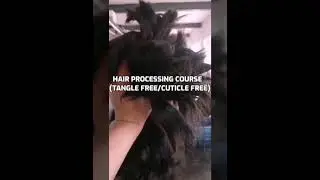 ONLINE RAW HAIR PROCESSING COURSE,TANGLE FREE CUTICLE FREE COURSE