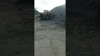 Rock picking activity #nature #video #travel