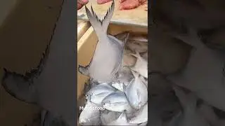 1000 Rs  KG Paplet Fish पपलेट मछली #Fish #fishmarket