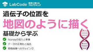 【ダイナミクス解析#7】【Python】Scanpyで空間トランスクリプトーム解析！基礎から可視化まで徹底解説【第3章】