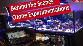 Behind the scenes with ozone experimentation👊🏼