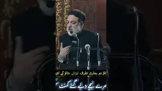 Understanding Life's Trials Through Faith#Shorts,#IslamicShorts,#UrduBayan,#SheikhAbdulHafeez
