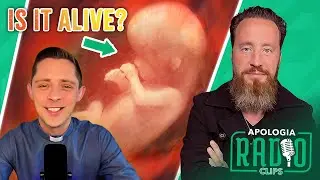 Is An Embryo 