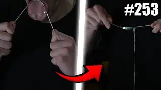 ZUBNÍ HYGIENA ORAVCE MELICHARA... 🦷 | Top klipy #253