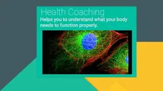 Health and Wellness Services
