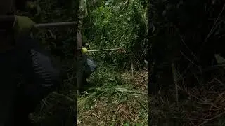 Satisfying Garden Work | Brush Cutter Grass Trim