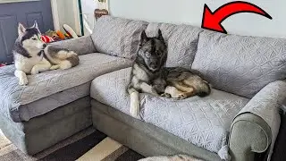 Keep Your Sectional Sofa Protected With THIS Couch Cover