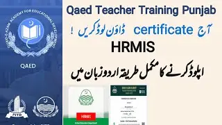 Qaed Certificate uploaded on HRMIS process | How to download Qaed certificate #punajb #qaed