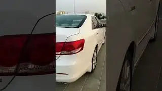 HIGH GLOSS MONTAN WAX