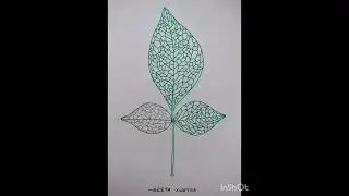 Drawing of BelPatra Leaf(Step by Step)#aegle marmelos#bael bilva#bilva patra#art@geetakwatra699