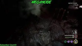 MEGANODE Live Stream