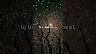 Nature&rsquo;s Lullabies &ndash; Sounds, Stories & Reflections #youtube #motivation #quotes #mindcleanse