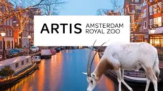 ARTIS: an Oasis of peace in the heart of Amsterdam