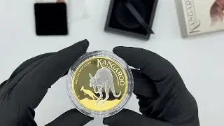 Australian Kangaroo 2022 2oz Silver Reverse Gilded Coin