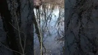 Water Gazing