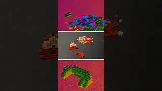 Time Lapse Nano Block Knuckles