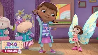 The Caterpillar Effect | Doc McStuffins Pet Rescue | Disney Junior