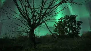 Ventrip - Huella Boreal (Visualizer)