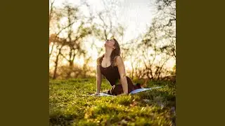 Hearthside Ambience for Yoga Practice