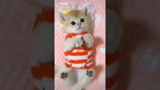 Funny and Cute Cats (woodworking art skills) #shorts #viral #shortsvideo November 19, 2022