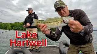 Lake Hartwell Bass Fishing Tournament May 2025