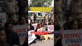 Delhi Protest 2025 | Dog Lovers Demand Justice | Save Stray Dogs Movement #dogster